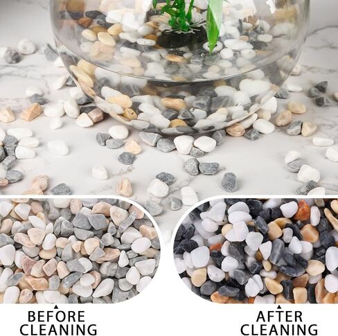 DomeStar 2lb Natural Plants Pebbles, Mixed Color Gravel Pebbles Pea Gravels for Succulents Vases Rocks Aquarium Indoor Outdoor in Saudi Arabia