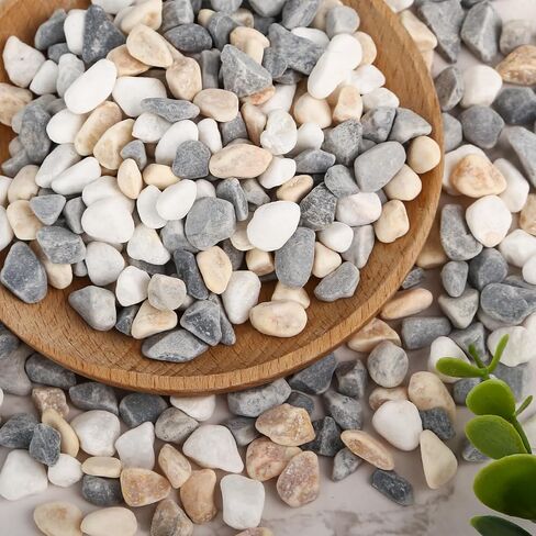 DomeStar 2lb Natural Plants Pebbles, Mixed Color Gravel Pebbles Pea Gravels for Succulents Vases Rocks Aquarium Indoor Outdoor in Saudi Arabia