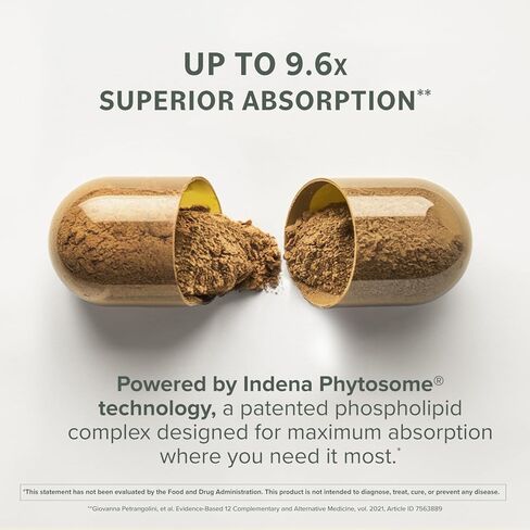 Berberine Phytosome Supplement - Healthy Gut Support - 550 mg, 60 Count in Kuwait