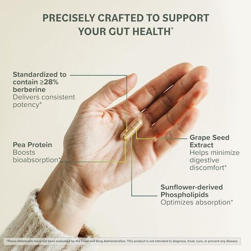 Berberine Phytosome Supplement - Healthy Gut Support - 550 mg, 60 Count in Kuwait