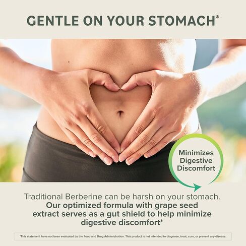 Berberine Phytosome Supplement - Healthy Gut Support - 550 mg, 60 Count in Kuwait