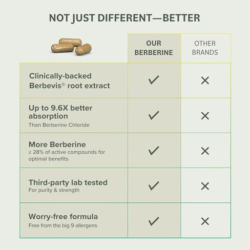 Berberine Phytosome Supplement - Healthy Gut Support - 550 mg, 60 Count in Kuwait