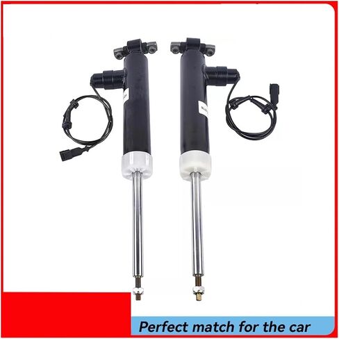 Rear Left Right Shock Absorber Compatible for Lincoln MKZ 2013-2017 2PCS in Saudi Arabia