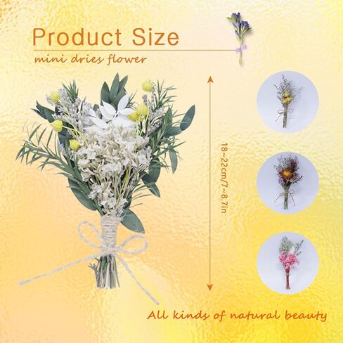 TooGet 9Pcs Mini Dried Flower Bouquets Real Small Boho Floral Bouquet Natural Dried Flowers for DIY Crafts Cake Gift Packaging Wedding Decor and Home Decorations in Saudi Arabia