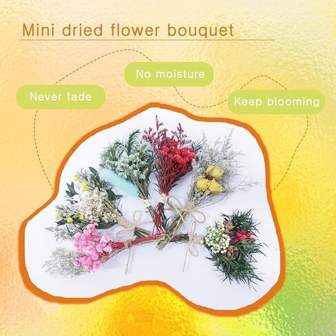 TooGet 9Pcs Mini Dried Flower Bouquets Real Small Boho Floral Bouquet Natural Dried Flowers for DIY Crafts Cake Gift Packaging Wedding Decor and Home Decorations in Saudi Arabia