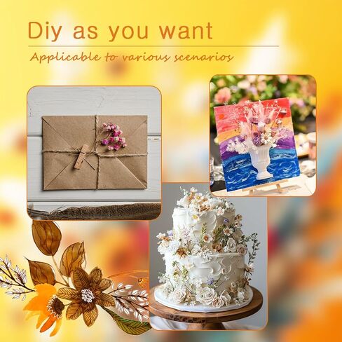 TooGet 9Pcs Mini Dried Flower Bouquets Real Small Boho Floral Bouquet Natural Dried Flowers for DIY Crafts Cake Gift Packaging Wedding Decor and Home Decorations in Saudi Arabia