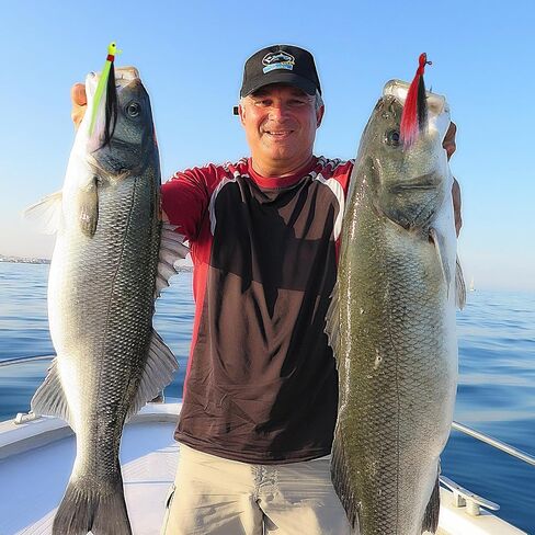 10 Pieces Bucktail Jigs Hair Jig Saltwater and Freshwater Bait Surf Striper Fishing Lure Head Swimbait Jig Hook for Pompano Halibut Mackerel Bass Flounder in Saudi Arabia
