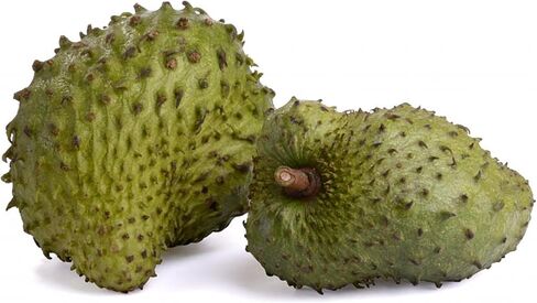 Organic Graviola Liquid Soursop Extract 4 oz Wildcrafted Tincture (Annona Muricata) : Immune System Booster (4oz) in Saudi Arabia
