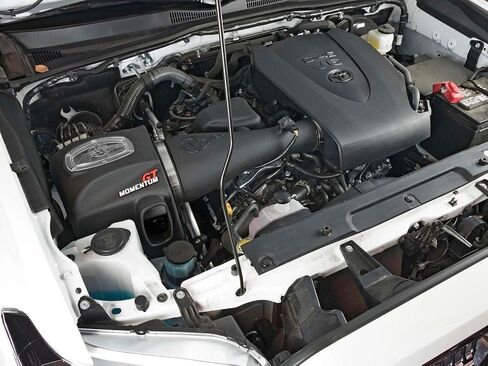 نظام سحب الهواء البارد aFe POWER Momentum GT مع فلتر Pro DRY S، #51-76005، أسود in Saudi Arabia