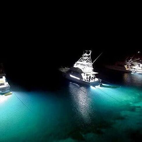 Lumitec SeaBlaze X2 Underwater Light, Bronze, White/Blue in Saudi Arabia