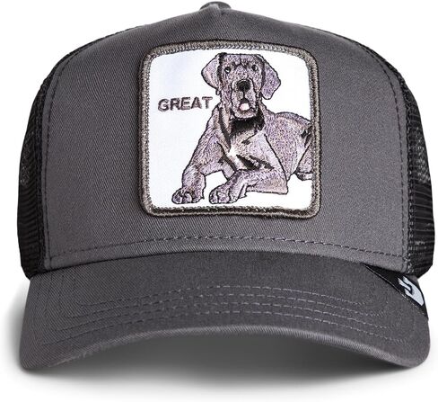 قبعة Goorin Big D Great Dane Trucker Hat، فحمي، مقاس واحد للبالغين، للجنسين in Saudi Arabia