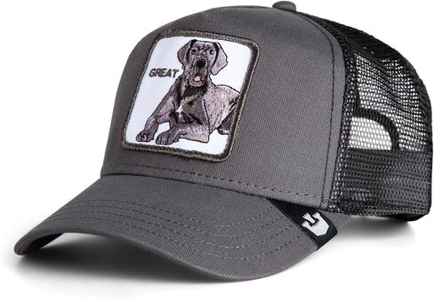 قبعة Goorin Big D Great Dane Trucker Hat، فحمي، مقاس واحد للبالغين، للجنسين in Saudi Arabia