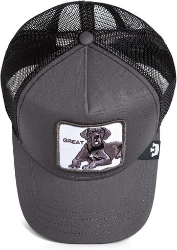 قبعة Goorin Big D Great Dane Trucker Hat، فحمي، مقاس واحد للبالغين، للجنسين in Saudi Arabia