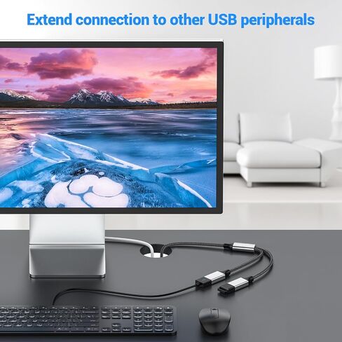 كابل USB-C OTG Splitter Y (طول 10 بوصات)، محول كابل USB C ذكر إلى أربعة USB A أنثى، محور توسيع منافذ USB 2.0 متعدد، محول سبليت متعدد المنافذ لأجهزة iMac/iPhone 15/iPad Pro Air 4 5/PC (رمادي) in Saudi Arabia
