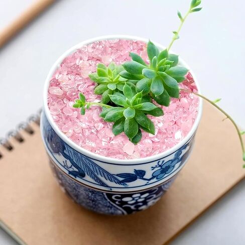 صخور زخرفية للنباتات بوعاء، حصى حوض السمك 0.44 رطل، حصى حجرية صغيرة مصقولة من الفلوريت للحرف اليدوية، حشو المزهريات، النباتات النضرة (الفلوريت) in Kuwait