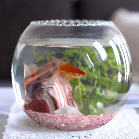 صخور زخرفية للنباتات بوعاء، حصى حوض السمك 0.44 رطل، حصى حجرية صغيرة مصقولة من الفلوريت للحرف اليدوية، حشو المزهريات، النباتات النضرة (الفلوريت) in Kuwait