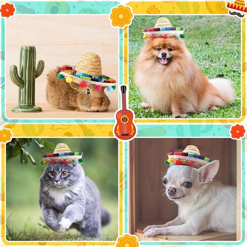 Kigeli 30 Pcs Mini Sombrero Hats 6 Inch Cinco De Mayo Fiesta Party Supplies Straw Tiny Mexican Hats Small Sombreros Hats Mexican Party Decorations for Kids Dogs Pets Fiesta Theme Birthday Party Decor in Saudi Arabia