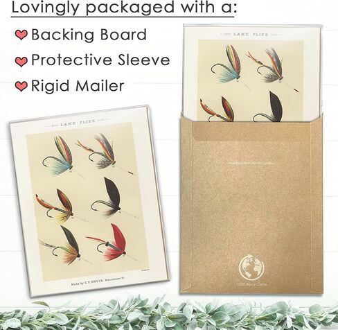 Vintage Fish Wall Art Prints (Set of 6) - Unframed - 8x10s | Fishing Décor | Vintage Décor | Kitchen Wall Art | Kitchen Wall Décor in Kuwait