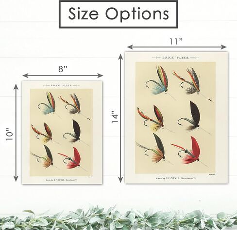Vintage Fish Wall Art Prints (Set of 6) - Unframed - 8x10s | Fishing Décor | Vintage Décor | Kitchen Wall Art | Kitchen Wall Décor in Kuwait