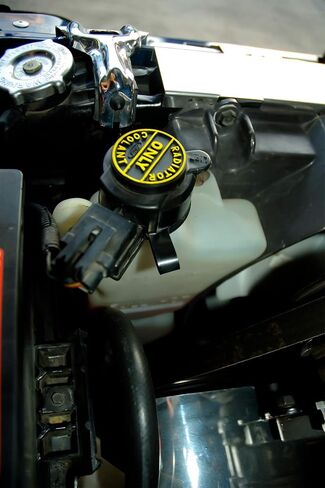 1987-1993 موستانج 5.0 V8 زجاجة خزان خزان سائل التبريد الفائض in Saudi Arabia