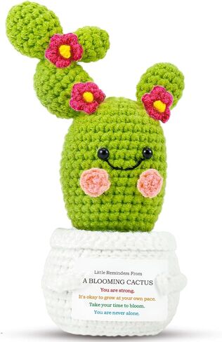 Positive Plant Thank You Gifts: Crochet Blooming Cactus Gifts for Women Friends Sister Birthday Mother's Day, Cute Funny Dolls with Inspirational Cards Office Plant Decors (Blooming Cactus) in Saudi Arabia