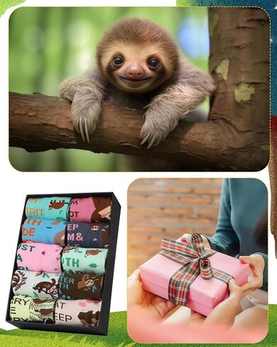 10 Pairs Funny Sloth Socks for Women Girls Novelty Animal Themed Low Cut No Show Casual Sock Gift Xmas Stuffers for Sloth Lover in Kuwait