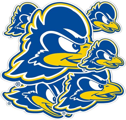 Desert Cactus University of Delaware Stickers Fightin Blue Hens UD Vinyl Decals Laptop Water Bottle Car Scrapbook T3 (Type 3-1) in Saudi Arabia