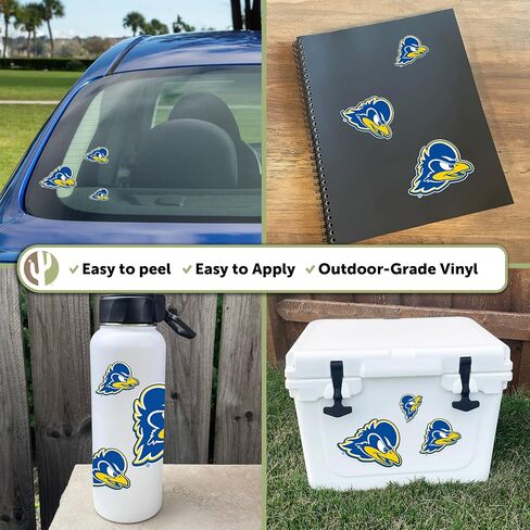 Desert Cactus University of Delaware Stickers Fightin Blue Hens UD Vinyl Decals Laptop Water Bottle Car Scrapbook T3 (Type 3-1) in Saudi Arabia