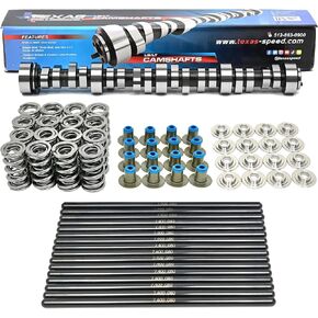 Michigan Motorsports Texas Speed TSP BFD Chop Monster 6.0L Cathedral Cam LS 5.3, 5.7, 6.0, 6.2, 7.0 Camshaft, Springs, Pushrods and Gasket Kit (Camshaft, Spring Set, Gasket Kit) in Saudi Arabia
