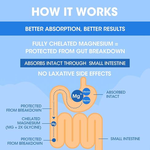 بيسجليسينات المغنيسيوم 100%، مكمل جليسينات المغنيسيوم الأقصى القابل للامتصاص من أجل نوم مريح، طاقة العضلات ودعم العظام والمفاصل، غير معدل وراثيًا، خالي من الغلوتين - 180 كبسولة in Kuwait