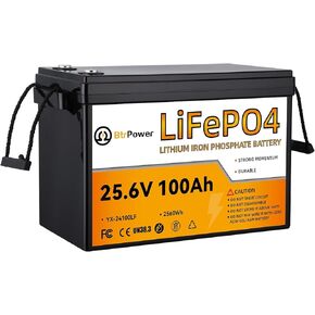 بطارية BtrPower 12V 100Ah Mini LiFePO4 ذات حجم صغير وخفيف الوزن، مدمجة 100A BMS وخلايا من الدرجة A، ما يصل إلى 15000 دورة وعمر 10 سنوات للمركبات الترفيهية والطاقة الشمسية ومحرك التصيد والتخييم. in Kuwait