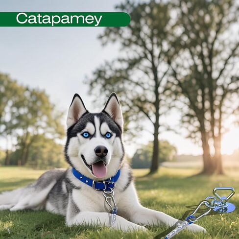 Catapamey Dog Tie Out Cable and Stake,with 30FT Heavy Duty Cable,360° Swivel Dog Run Stake-No Tangle-Runner for Yard,-Suitable for Up to 150 lbs- Idela for Yard Outdoor Camping in Kuwait