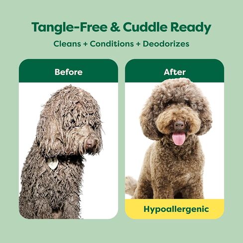 Earth Rated Dog Deodorizing Spray, Conditioning & Odor-Eliminating Perfume for Dogs, for All Coat Types, Refreshing White Tea & Basil Scent, 8 oz. in Saudi Arabia