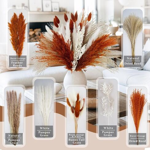 Pampas Grass Dried Flowers for Vase, Burnt Orange Pampas Grass Boho Home Decor, Wedding Decorations (Mixed Burnt Orange) in Kuwait