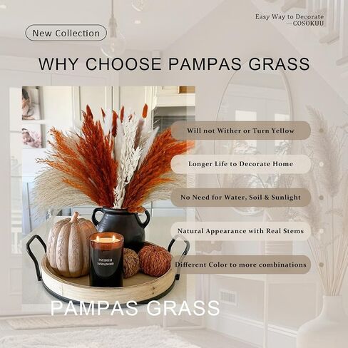 Pampas Grass Dried Flowers for Vase, Burnt Orange Pampas Grass Boho Home Decor, Wedding Decorations (Mixed Burnt Orange) in Kuwait