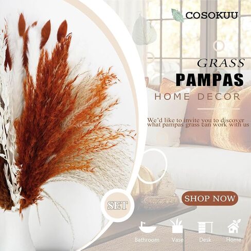 Pampas Grass Dried Flowers for Vase, Burnt Orange Pampas Grass Boho Home Decor, Wedding Decorations (Mixed Burnt Orange) in Kuwait