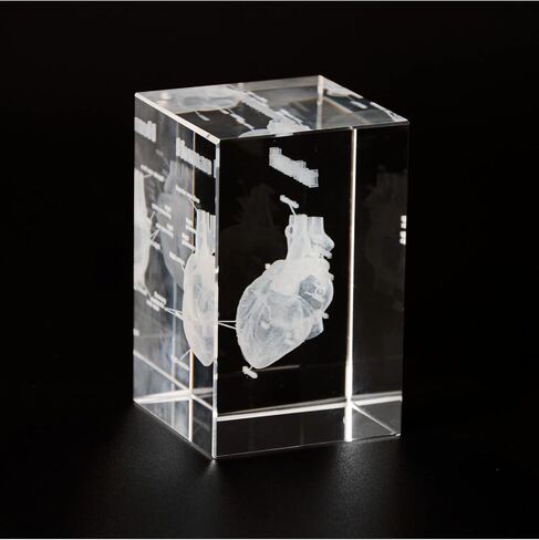3D Human Tooth Crystal Model, Laser Etched Anatomical Model for Home and Office Decoration, Dentists Gifts in Kuwait