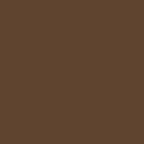 Automotive Paint for Ford 5H, Medium Brown Poly, 11oz Aerosol in Saudi Arabia