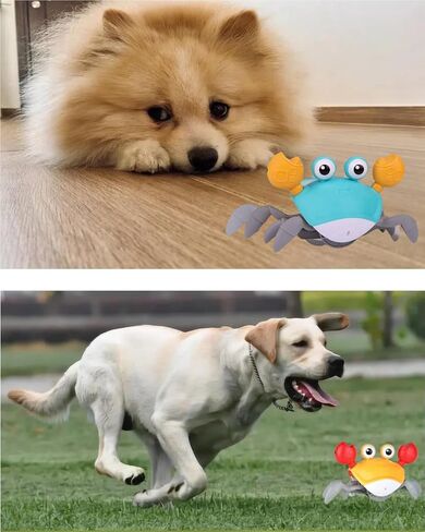 Crawling Crab Dog Cat Toys, Escaping Crab Dogs Cats Toy with Obstacle Avoidance Sensor Interactive Pet Toys with Music Sounds & Lights for Dogs Cats Dancing Crab Toys Gifts for Puppy Small Medium in Saudi Arabia