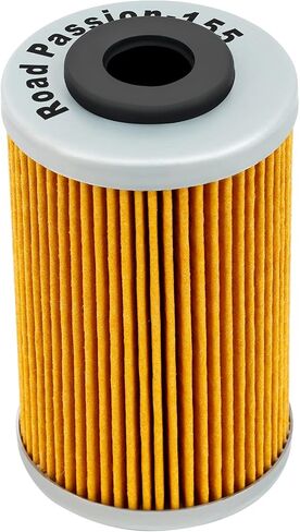 Road Passion 2520754 Oil Filter Compatible with 390 Adventure 2020-2024 390 Duke 2013-2024 390 R2R 2020-2021 390 RC 2014-2024 390 RC R2R 2022 400 EGS1st Filter 400 EXC1st Filter 2006-2007(2PCS) in Saudi Arabia