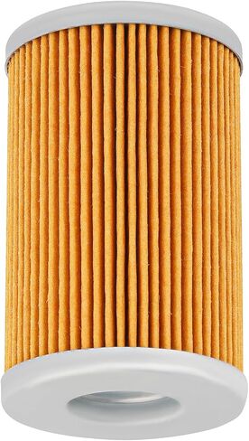 Road Passion 2520754 Oil Filter Compatible with 390 Adventure 2020-2024 390 Duke 2013-2024 390 R2R 2020-2021 390 RC 2014-2024 390 RC R2R 2022 400 EGS1st Filter 400 EXC1st Filter 2006-2007(2PCS) in Saudi Arabia