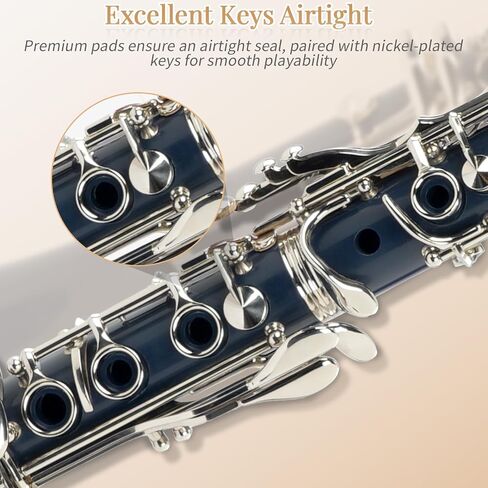 Ktaxon Bb Flat Clarinet Mid-range Bakelite Beginner & Student Clarinet, Nickel-Plated 17 Keys B Tone Clarinets with Hard Case, 10 Reeds, Gloves, 2 Mouthpieces Connector (Black) in Kuwait