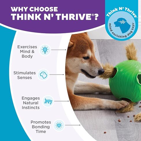 Outward Hound Nina Ottosson Paw N' Play Interactive Dog Treat Puzzle, Level 2 Intermediate Dog Enrichment Dog Toy, Blue, Small in Kuwait