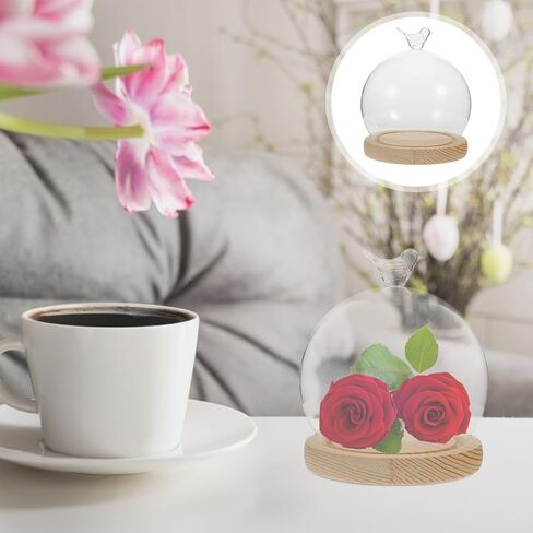 Cabilock Glass Dome Cloche with Wooden Base, 5.51 Inch Heart-Shaped Display Case for DIY Decoration, High Borosilicate Glass Dustproof Dome, Unique Globe Design in Saudi Arabia