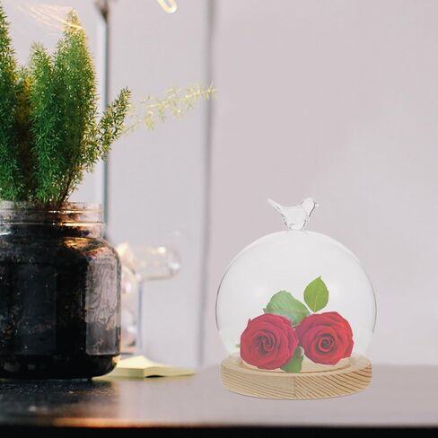 Cabilock Glass Dome Cloche with Wooden Base, 5.51 Inch Heart-Shaped Display Case for DIY Decoration, High Borosilicate Glass Dustproof Dome, Unique Globe Design in Saudi Arabia