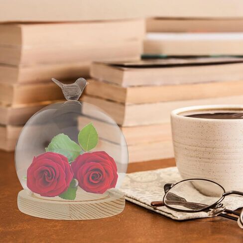 Cabilock Glass Dome Cloche with Wooden Base, 5.51 Inch Heart-Shaped Display Case for DIY Decoration, High Borosilicate Glass Dustproof Dome, Unique Globe Design in Saudi Arabia
