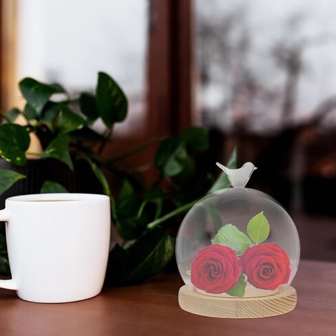 Cabilock Glass Dome Cloche with Wooden Base, 5.51 Inch Heart-Shaped Display Case for DIY Decoration, High Borosilicate Glass Dustproof Dome, Unique Globe Design in Saudi Arabia