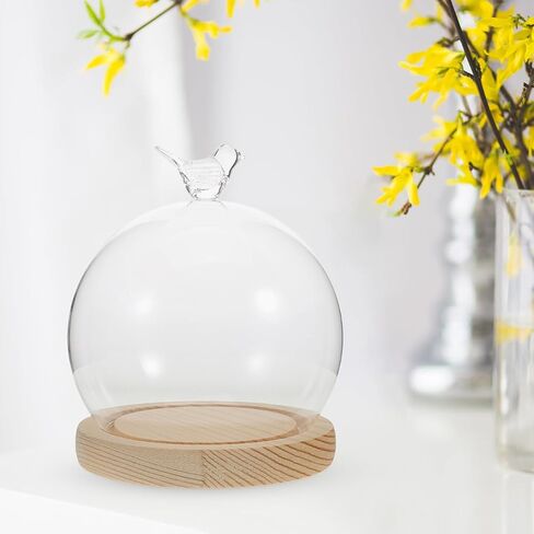 Cabilock Glass Dome Cloche with Wooden Base, 5.51 Inch Heart-Shaped Display Case for DIY Decoration, High Borosilicate Glass Dustproof Dome, Unique Globe Design in Saudi Arabia