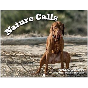 2024 Wall Calendar - Dog Pooping Calendar 2024, January 2024 - December 2024, Funny Dog Calendar Gag Gifts,11" x 17" (Open), 11" x 8.5"(Closed), Perfect 2024 Calendar for White Elephant Gifts Funny