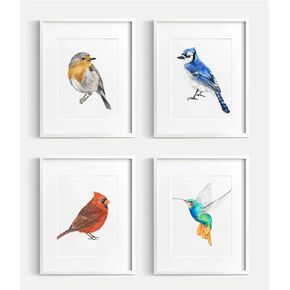 Bird Art Print, Bird Wall Decor, Garden Watercolor Painting, Bird Lover Woodland Birthday Gift, UNFRAMED, Signed by Artist (8x10" Unframed, Set of 4)